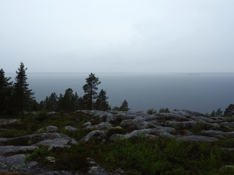 things to do in skelleftea sweden hiking in nature reserve