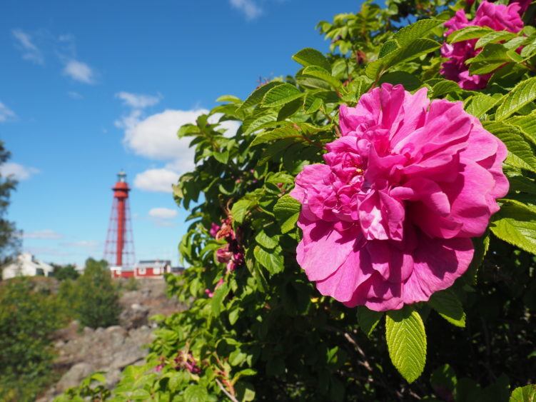 lighthouse skelleftea sweden