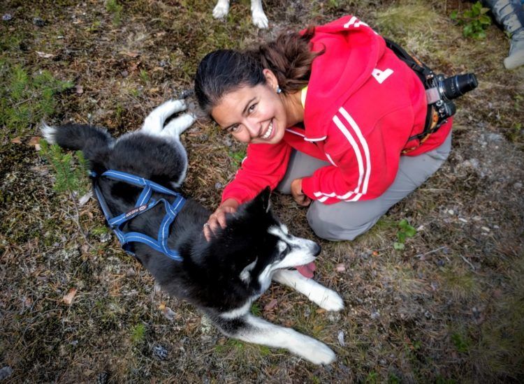 things to do in skelleftea sweden play with puppies