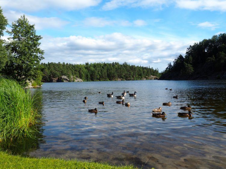 Nature Reserve in Stockholm