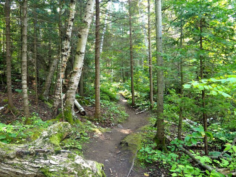 hiking on flowerpot island trail