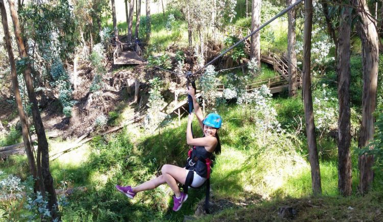 Guilt-free ziplining in Maui.