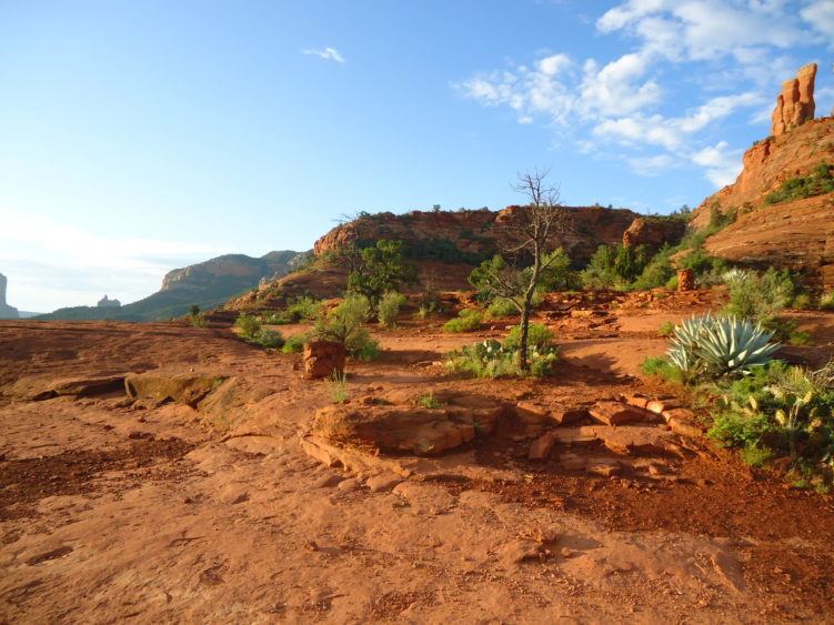 Along the trail to Cathedral Rock (Sedona, AZ)