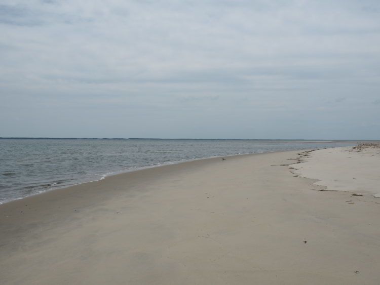 barrier islands of eastern shore of virginia