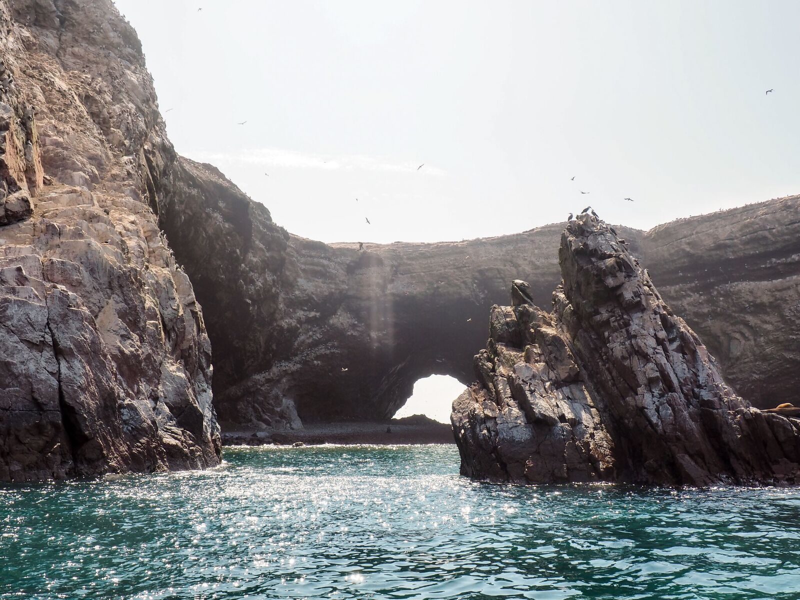 islas ballestas scenery