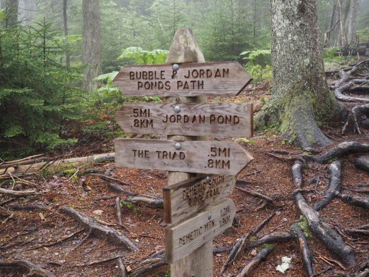 hikes in acadia national park maine - acadia national park trails