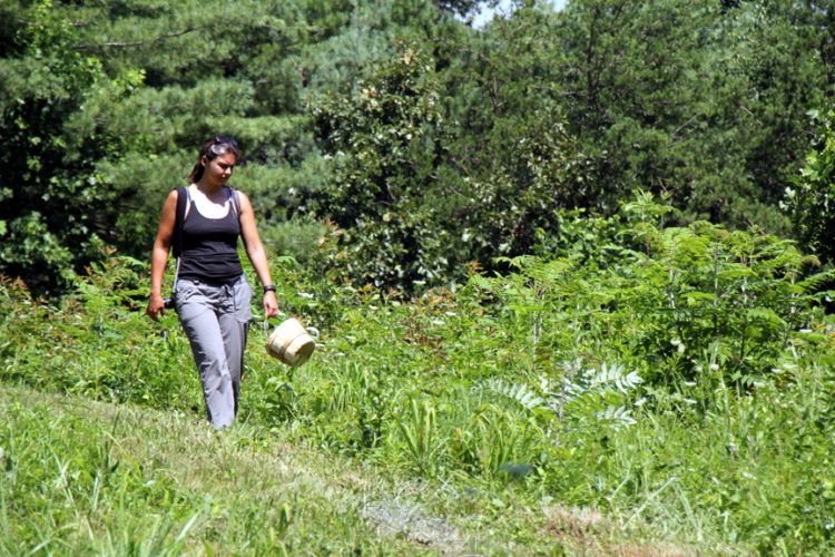 foraging in asheville nc Becky on path