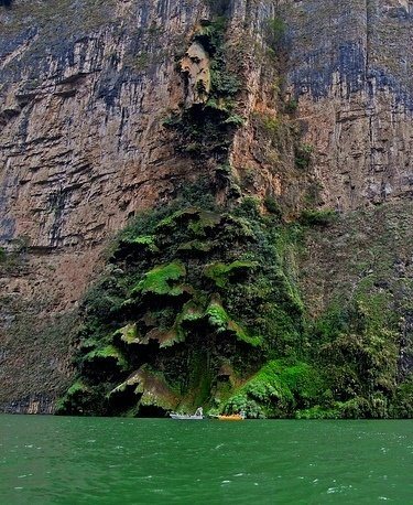 The Christmas Tree in Sumidero Canyon 