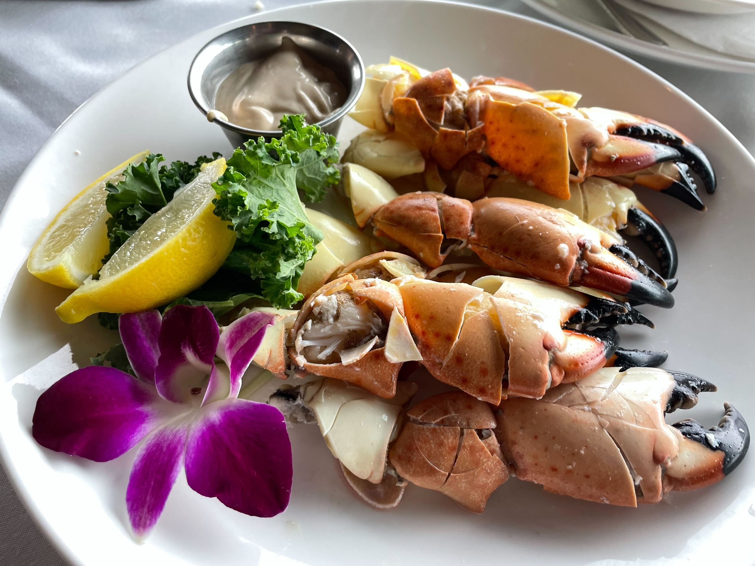 stone crab claws in hollywood beach florida