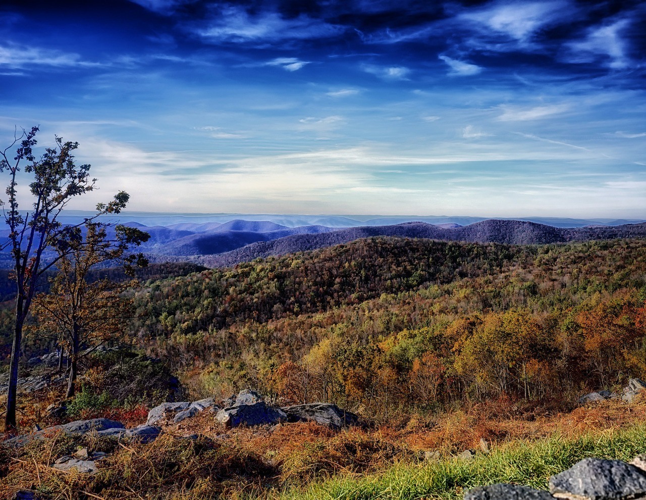 Virginia Bucket List Inspiration for Your Next Trip to VA