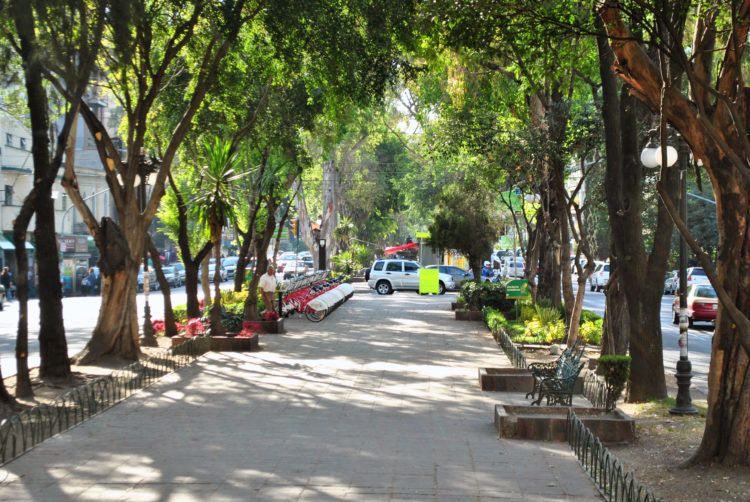 Wide walkways in the gentrified areas of Roma, my favorite place to stay in mexico city