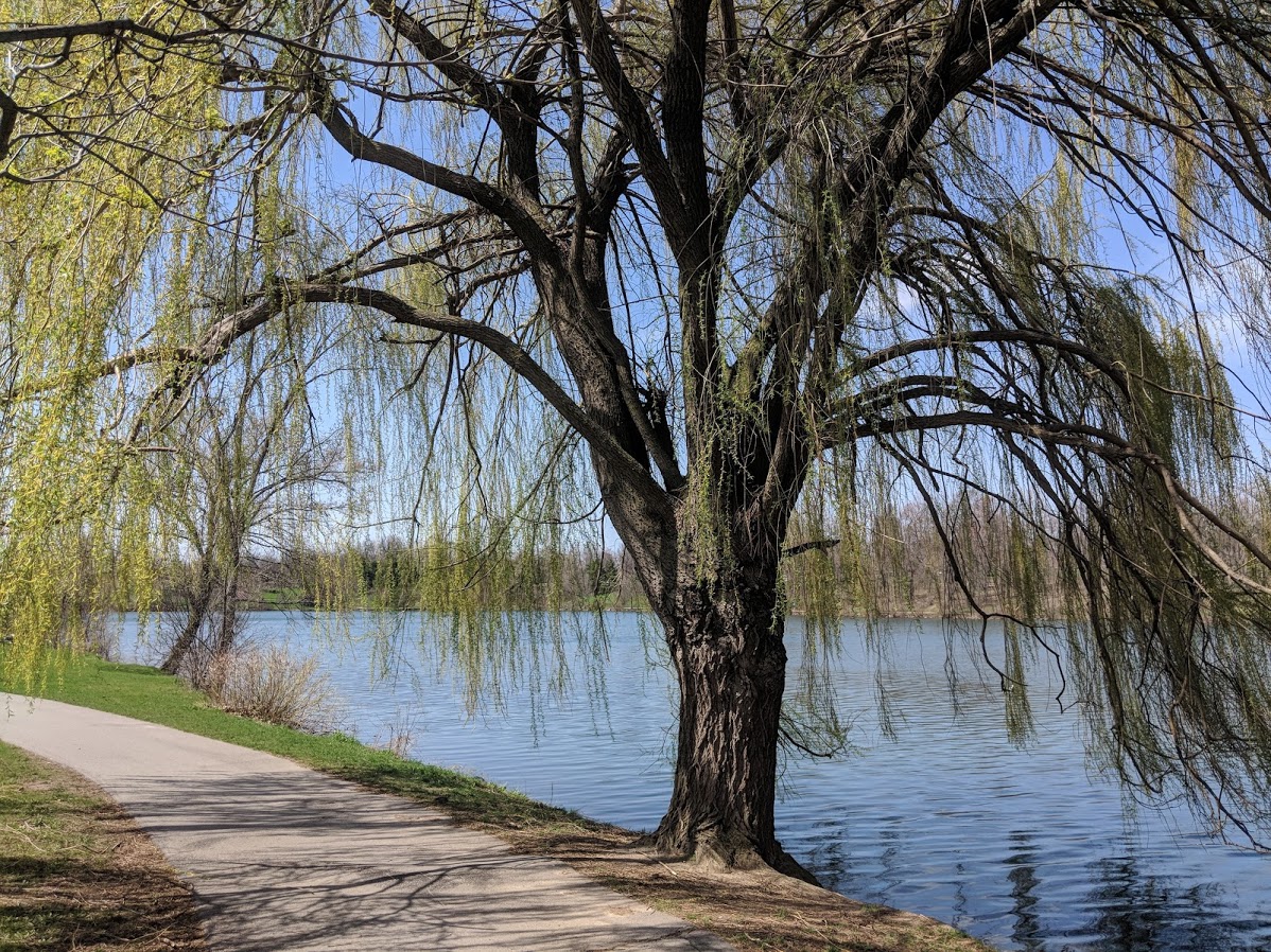 Buffalo's Delaware Park