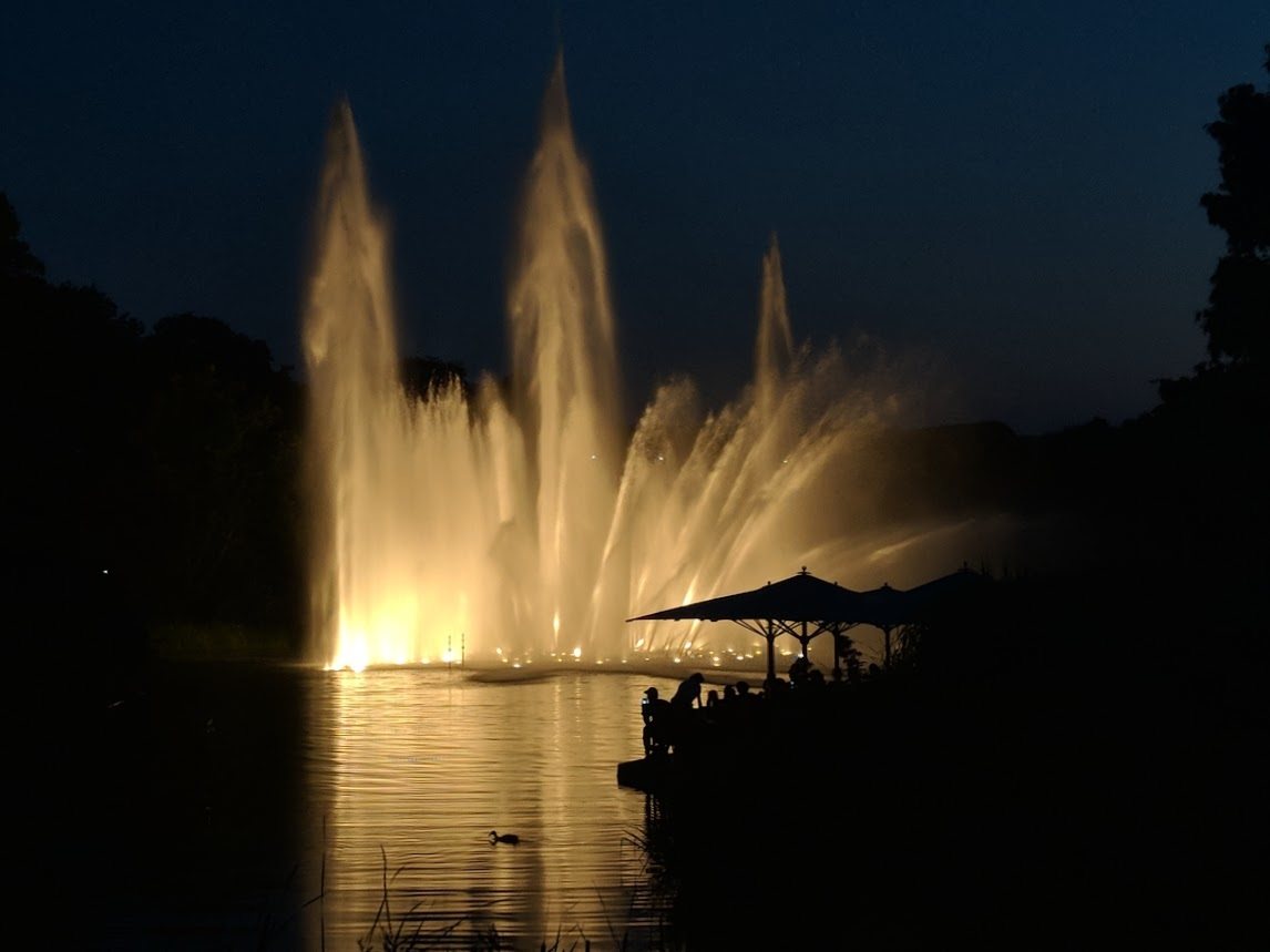 The water show at Planten un Blomen park hamburg germany