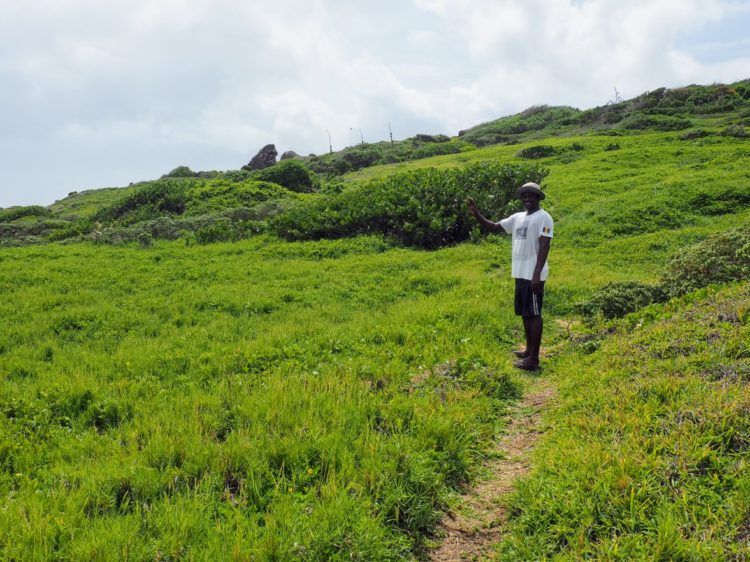 hiking in barbados