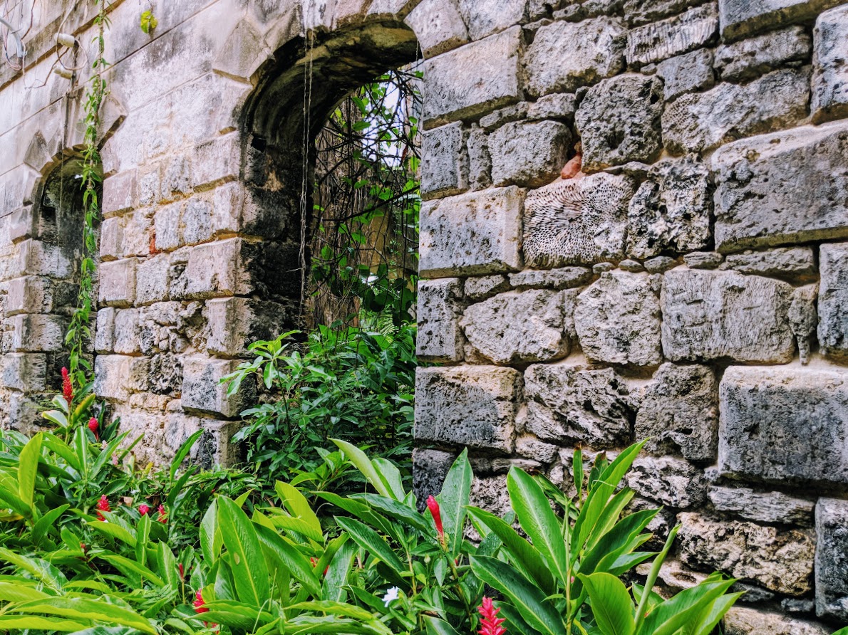 A forest taking over the 100-year-old mansion at Farley Hill