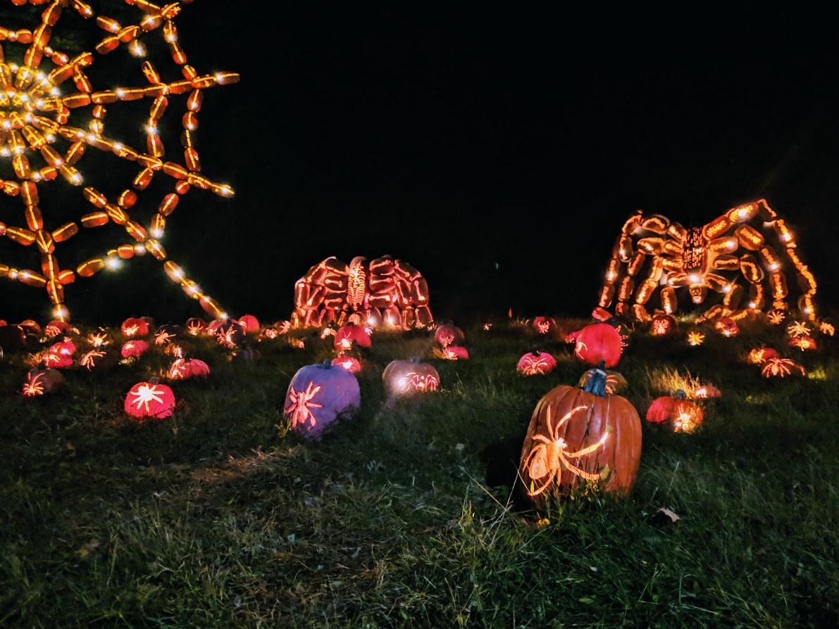 2021 The Great Jack O Lantern Blaze is Gourdgeous — sightDOING