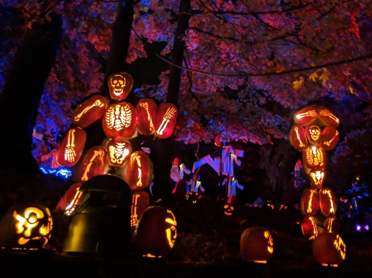 2021 The Great Jack O Lantern Blaze is Gourdgeous — sightDOING