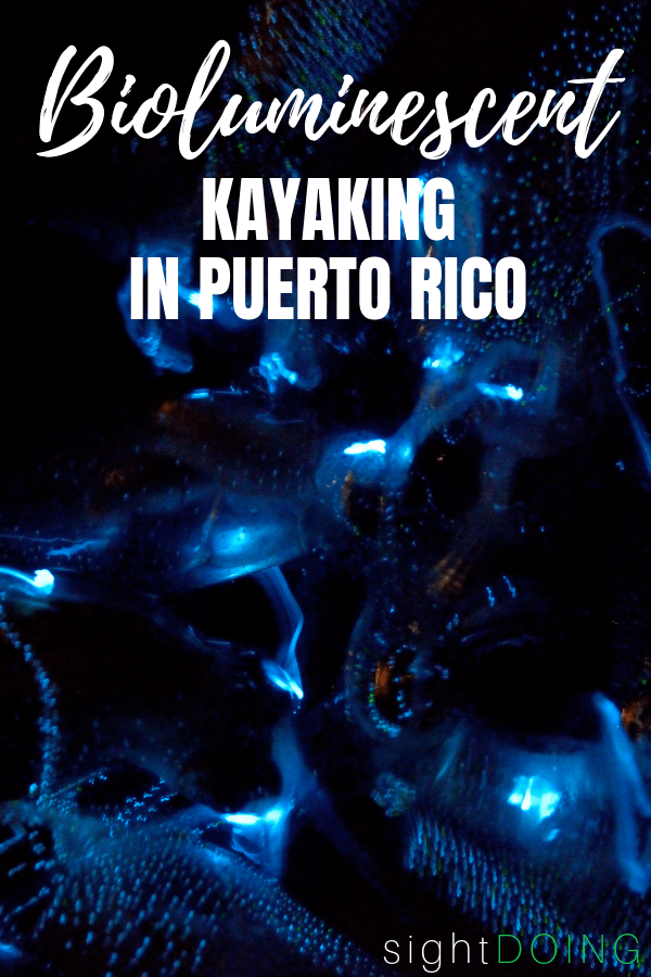 bioluminescent kayaking puerto rico