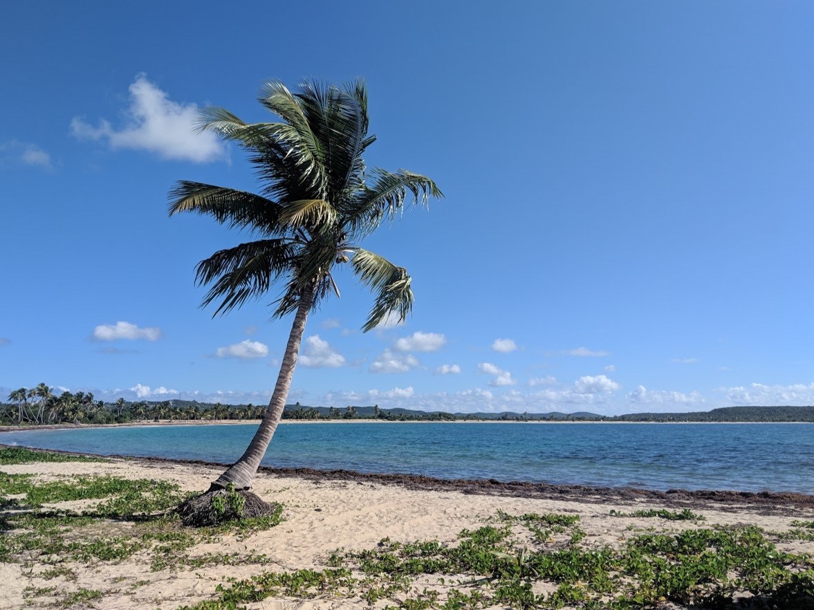 vieques puerto rico