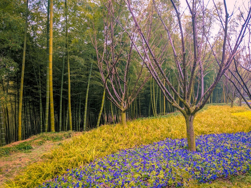 niushoushan scenic area park