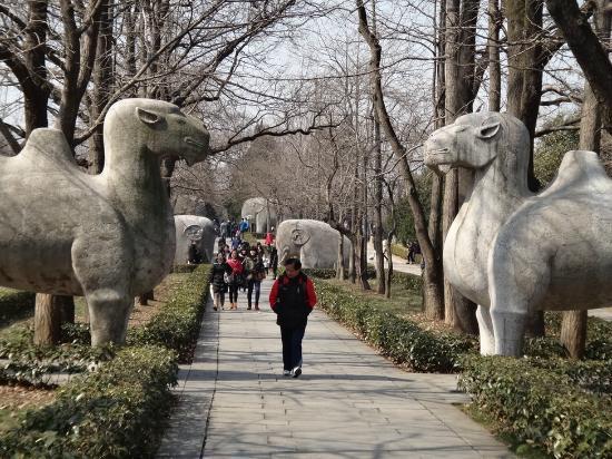 Stone animals lining the pathways of Purple Mountain