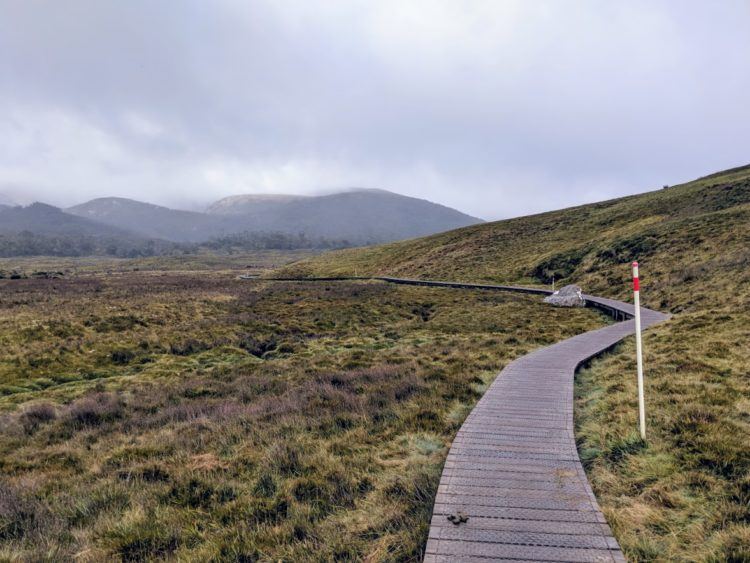 boardwalk trail at cradle mountain national park