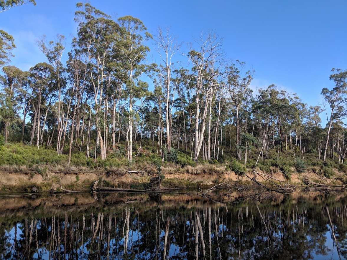 Walking through Warrawee