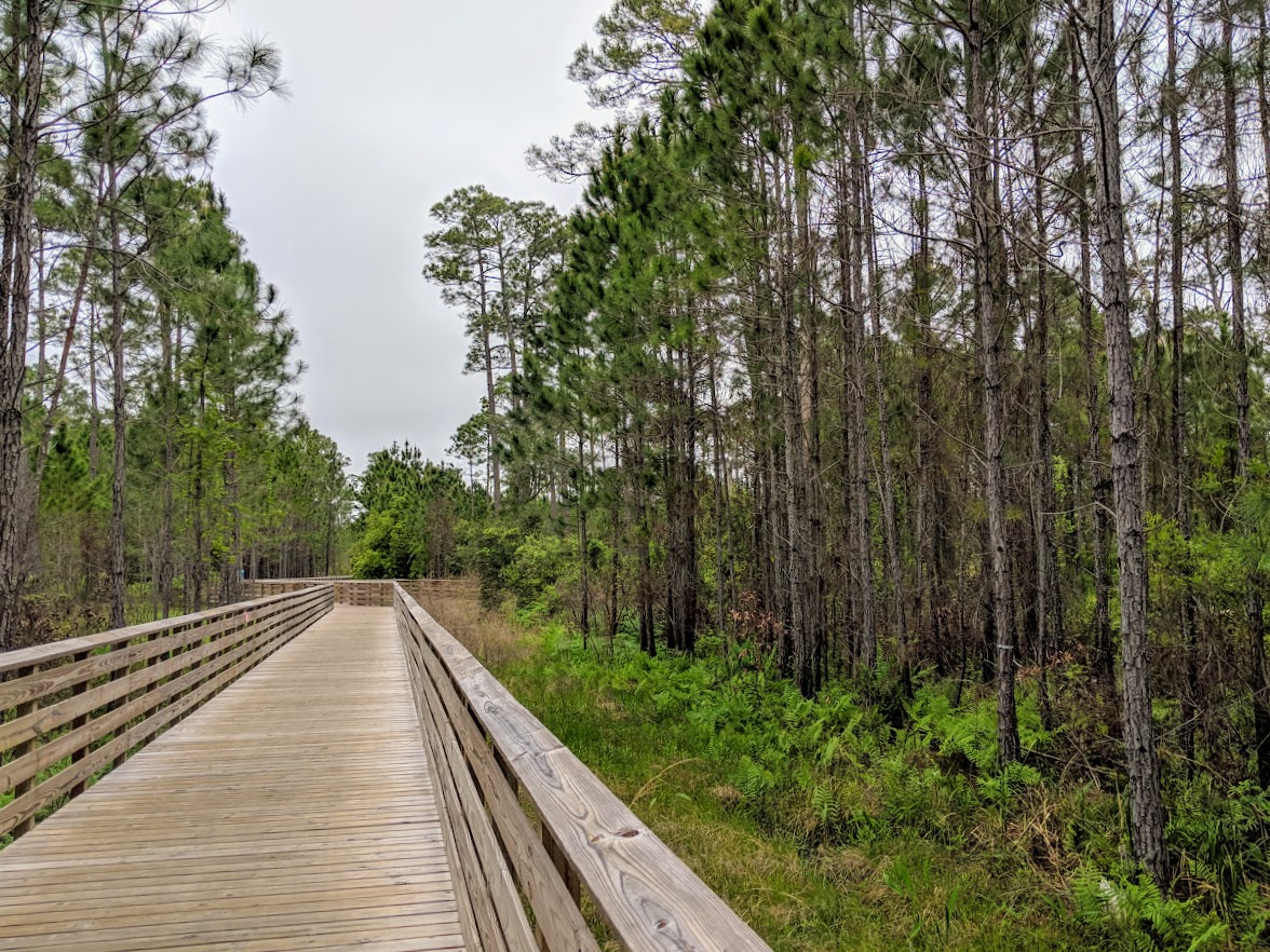 hugh s branyon backcountry trail