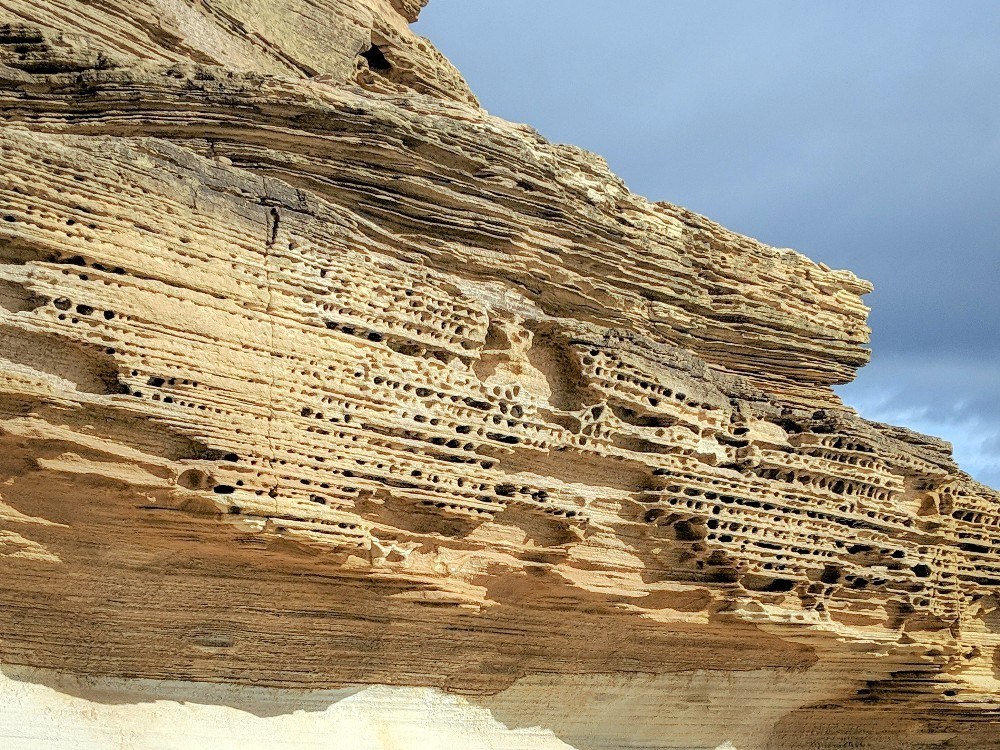 Closeup of the honeycomb formations on tasmania Painted Cliffs