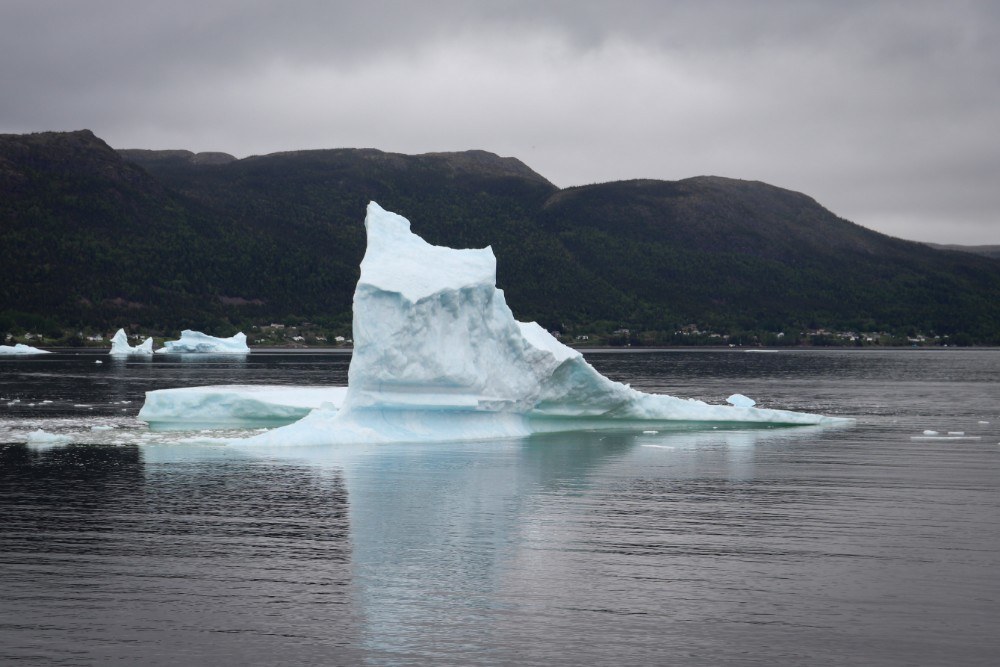 an iceberg at King's Point, Newfoundland