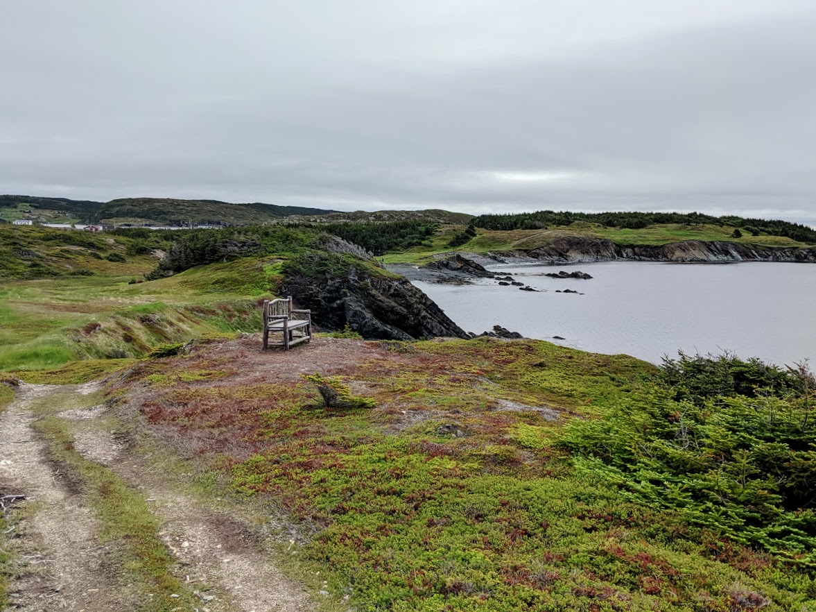 bench on fox island trail