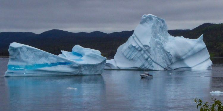 boat in front of two newfoundland icebergs