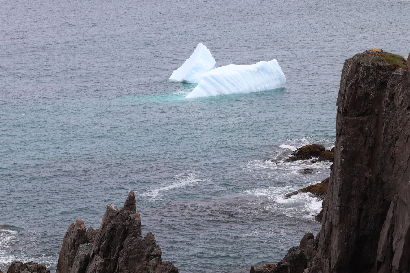icebergs newfoundland canada