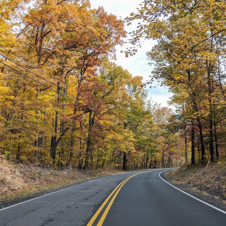 road through the hudson valley, lined with fall colors