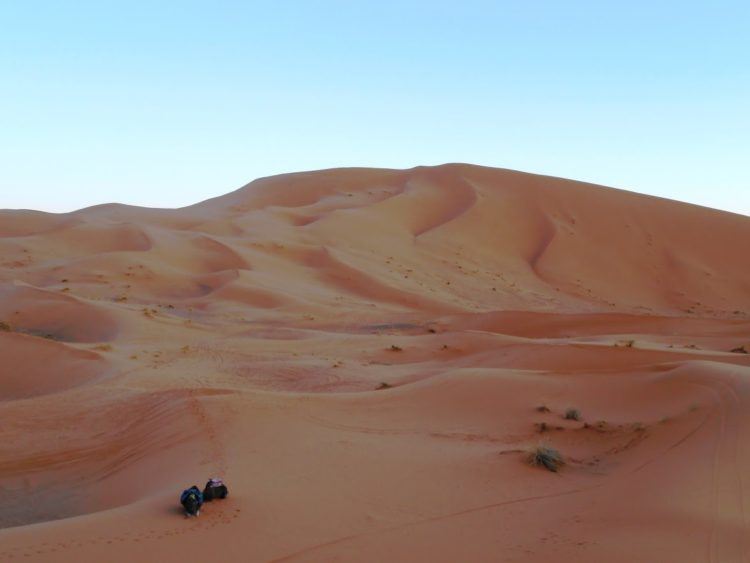 Camel riding amongst the Erg Chebbi dunes, a highlight of my two weeks in Morocco.