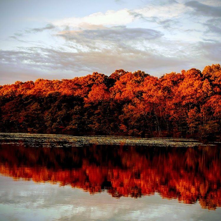 Reflections in the Hudson Valley