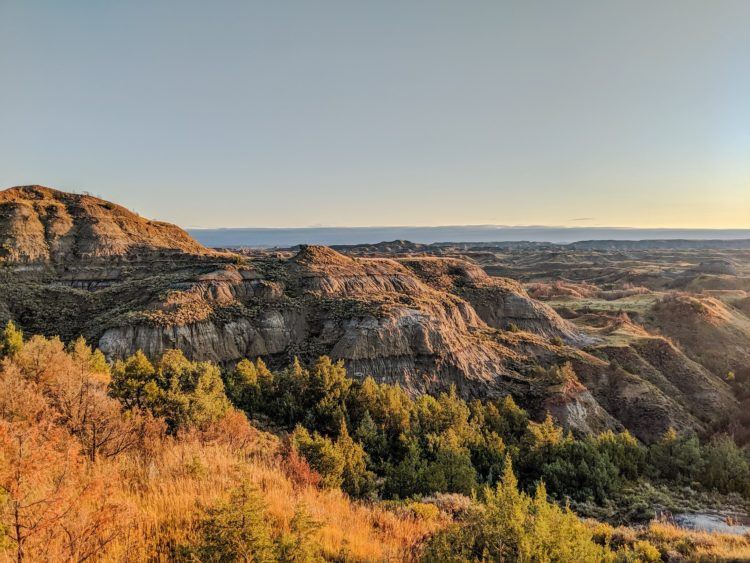 yellow foliage in front of badlands