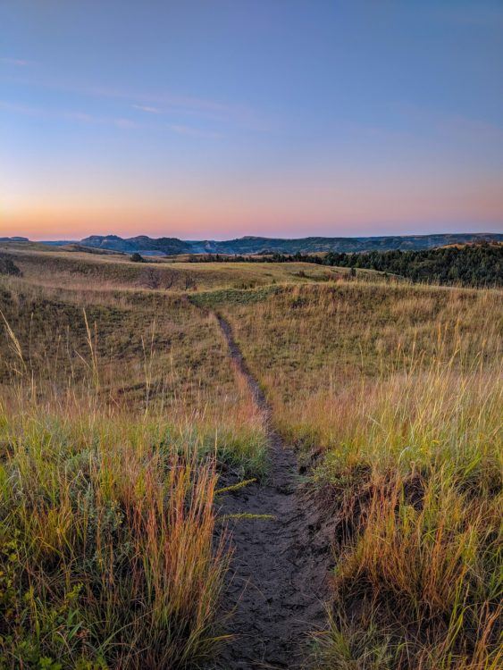 trail through the grasslands