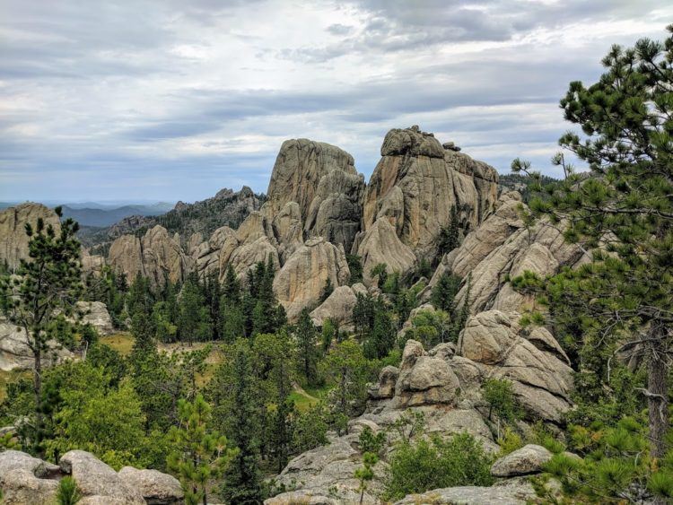 custer state park overlook