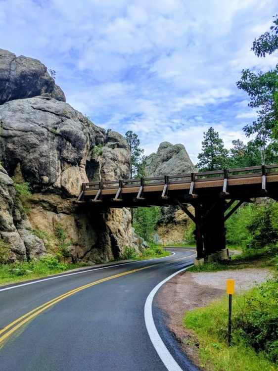 road through south dakota black hills