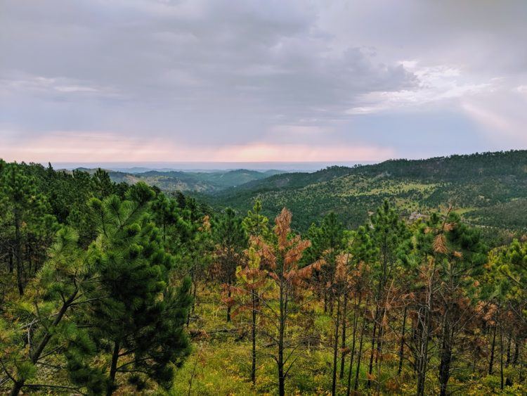 overlook at sunrise in custer sd