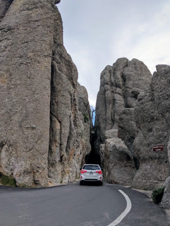 tunnel on needles highway in custer state park