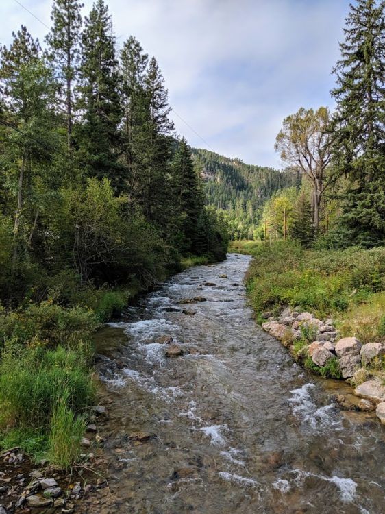 Creek view in Spearfish Canyon SD