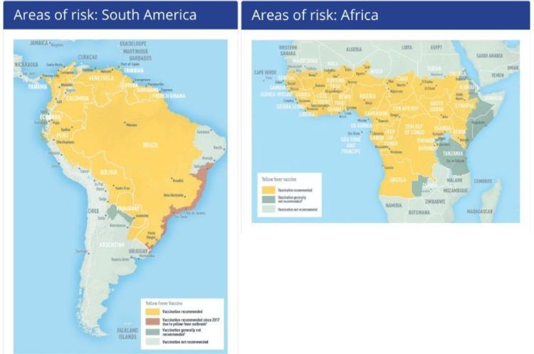 yellow fever map