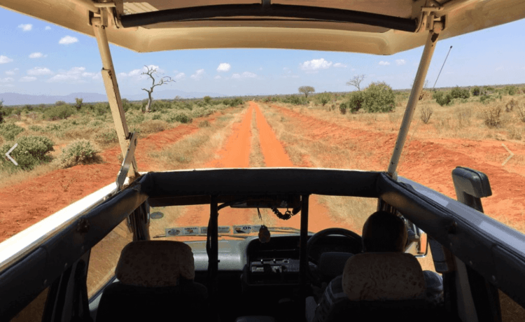 pop up safari van