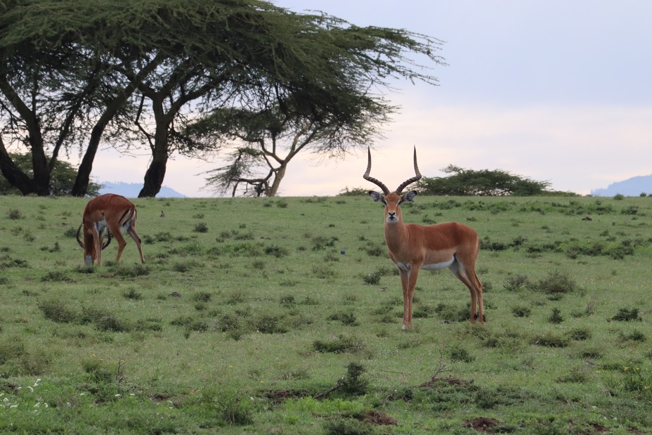 6 Fascinating Places to Visit in Naivasha, Kenya — sightDOING