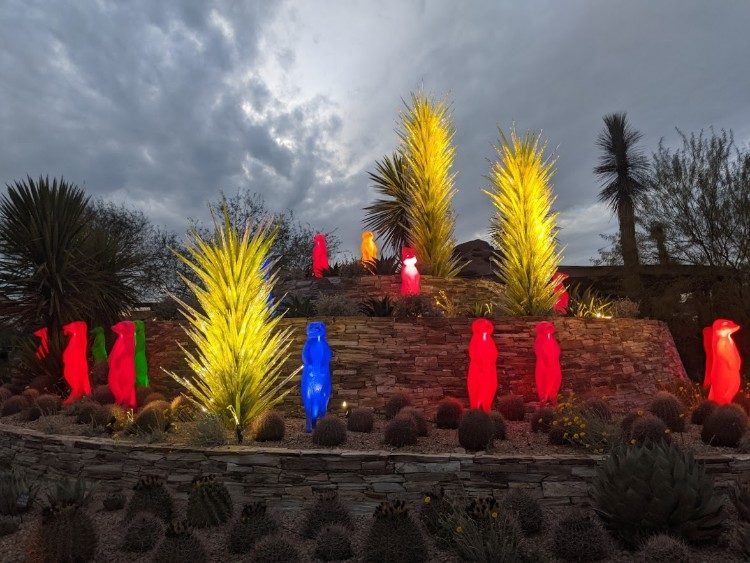 desert botanical garden exhibit