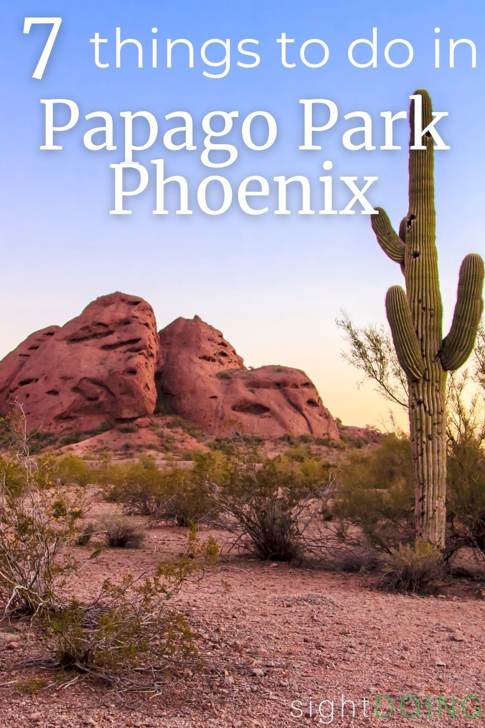 cactus papago park pinterest