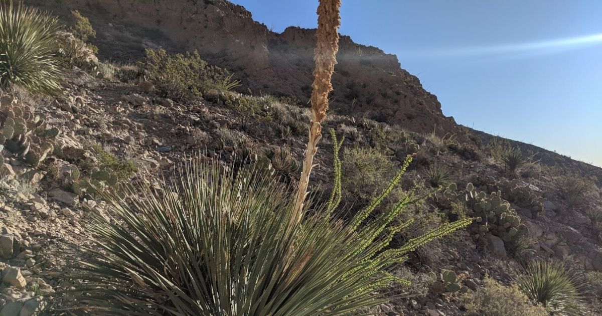 7 Fun Outdoor Things to Do in El Paso, Texas — sightDOING