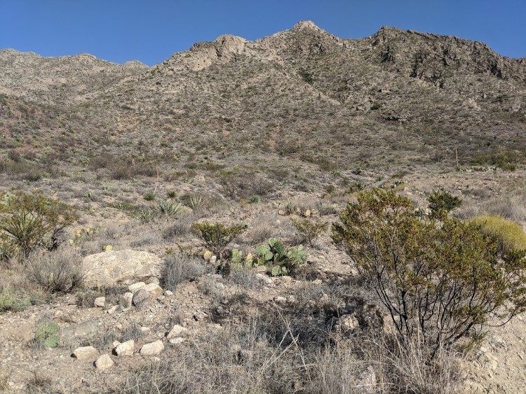 franklin mountains el paso